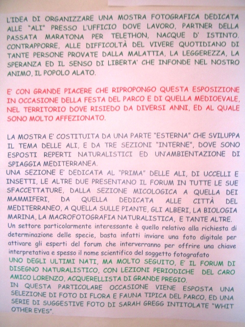 Le foto del parco in festa